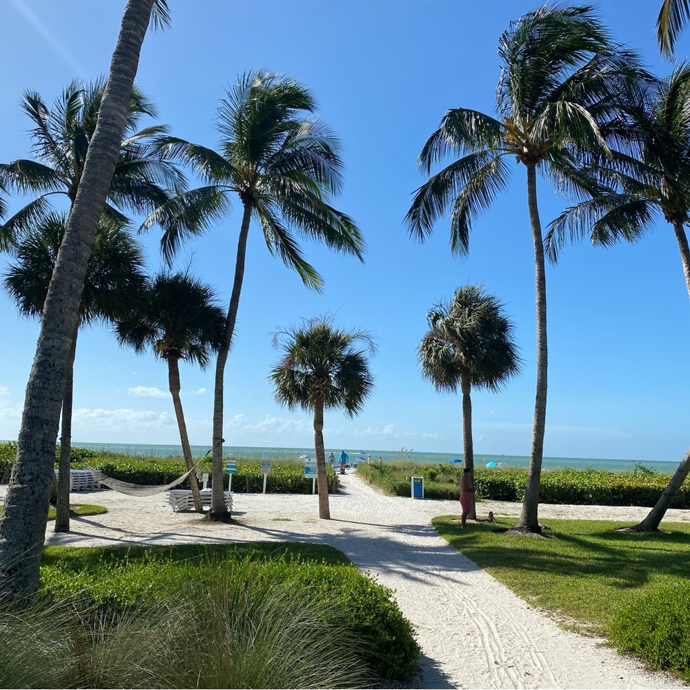 Meet your Posher, Cheri